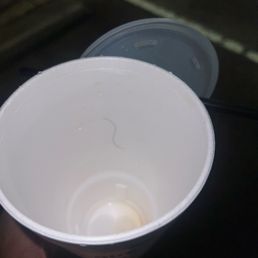 A hair stuck to the inside of my cup. A hair stuck to the inside of my cup.