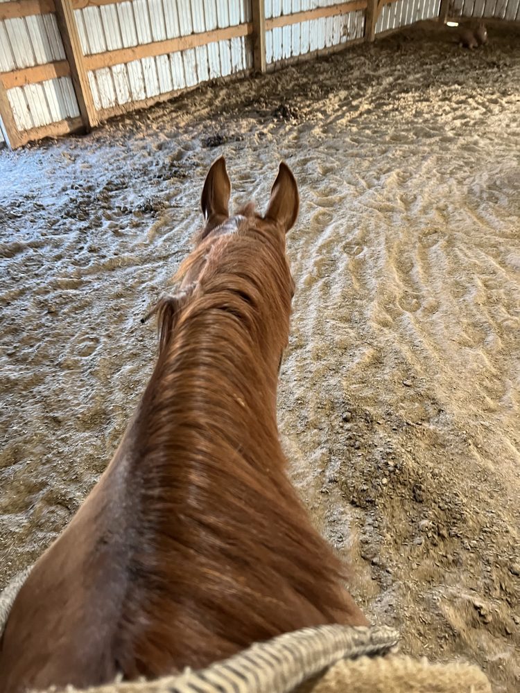 Hooves n Harmony - equestrian in Enid, OK