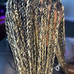 Braid Anatomy - Knotless braids/twist