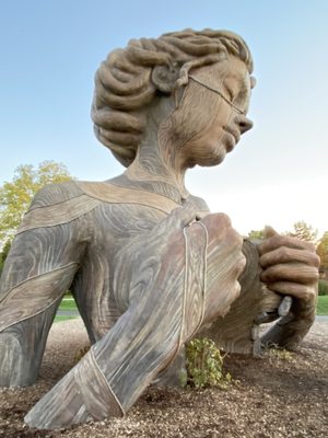 The Morton Arboretum by null