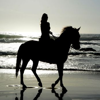 Baja By Horse - Horseback Riding Near Me - La Misión, BCN