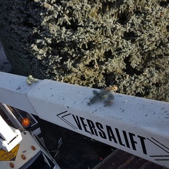 Larned Tree Service - Spruce Tree Trimming in Billings, MT. - Tree Services Near Me - Laurel, Montana Larned Tree Service - Spruce Tree Trimming in Billings, MT. - Tree Services Near Me - Laurel, Montana