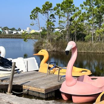 High Tide Daiquiris & Mimosas - Paddle boats - Sandwiches Near Me - Gulf Shores, Alabama High Tide Daiquiris & Mimosas - Paddle boats - Sandwiches Near Me - Gulf Shores, Alabama