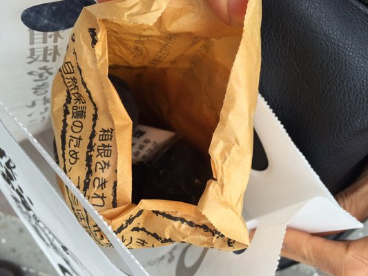 Ōwakudani Station by null