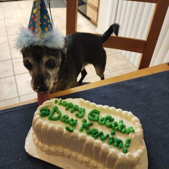 Redondo Dog - Kevin loved his custom cake! Thank you!!! - Pet Services Near Me - Carson, California Redondo Dog - Kevin loved his custom cake! Thank you!!! - Pet Services Near Me - Carson, California