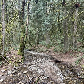 Coal Creek Natural Area - Parks Near Me - Bellevue, Washington Coal Creek Natural Area - Parks Near Me - Bellevue, Washington