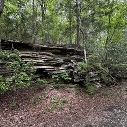 Along the trail.