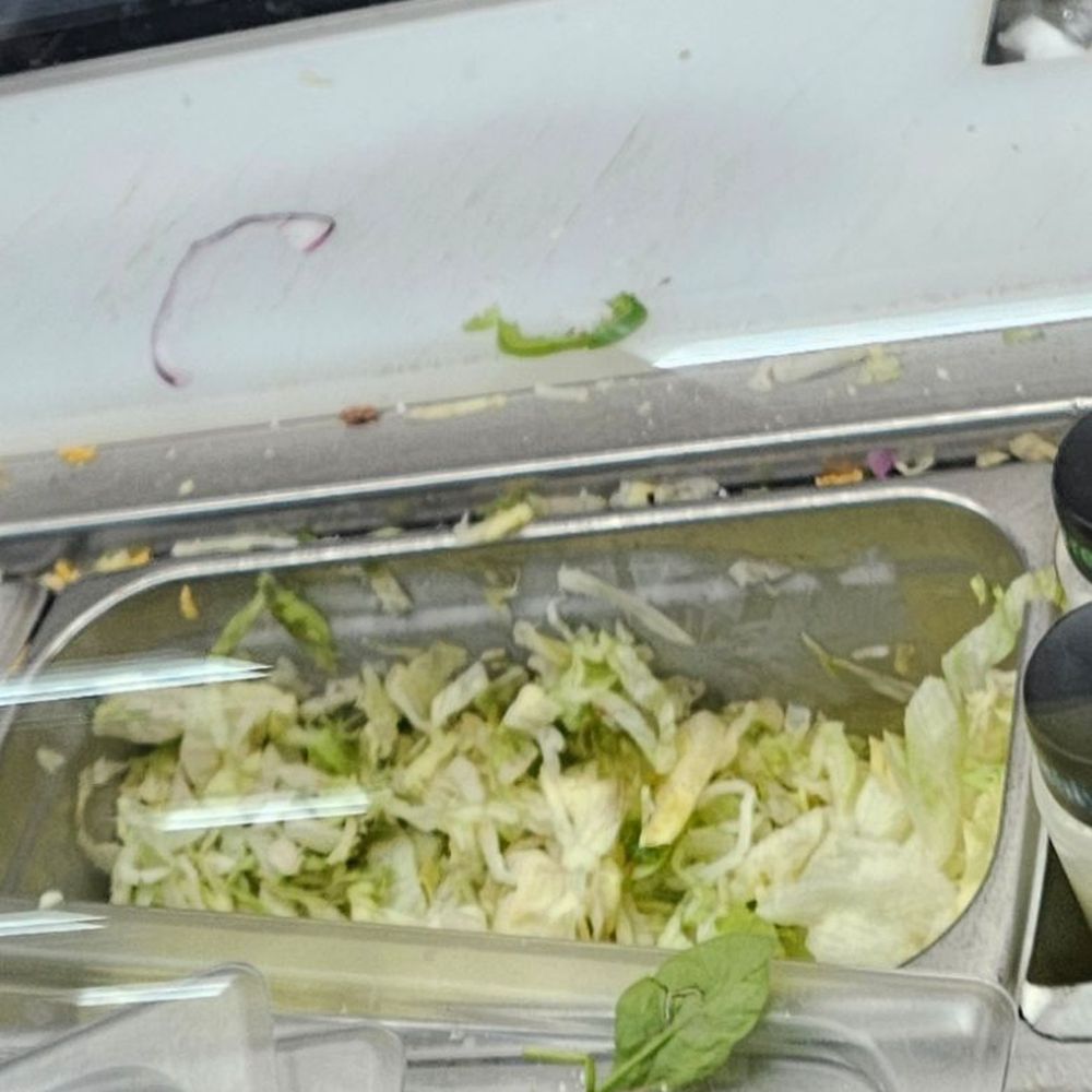 Subway - Extremely bad lettuce this is one of multiple containers of veggies that were fully turned - Sandwiches Near Me - Chouteau, Oklahoma Subway - Extremely bad lettuce this is one of multiple containers of veggies that were fully turned - Sandwiches Near Me - Chouteau, Oklahoma