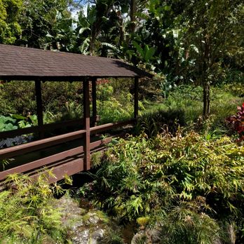 Kula Botanical Gardens - Parks Near Me - Kula, Hawaii Kula Botanical Gardens - Parks Near Me - Kula, Hawaii