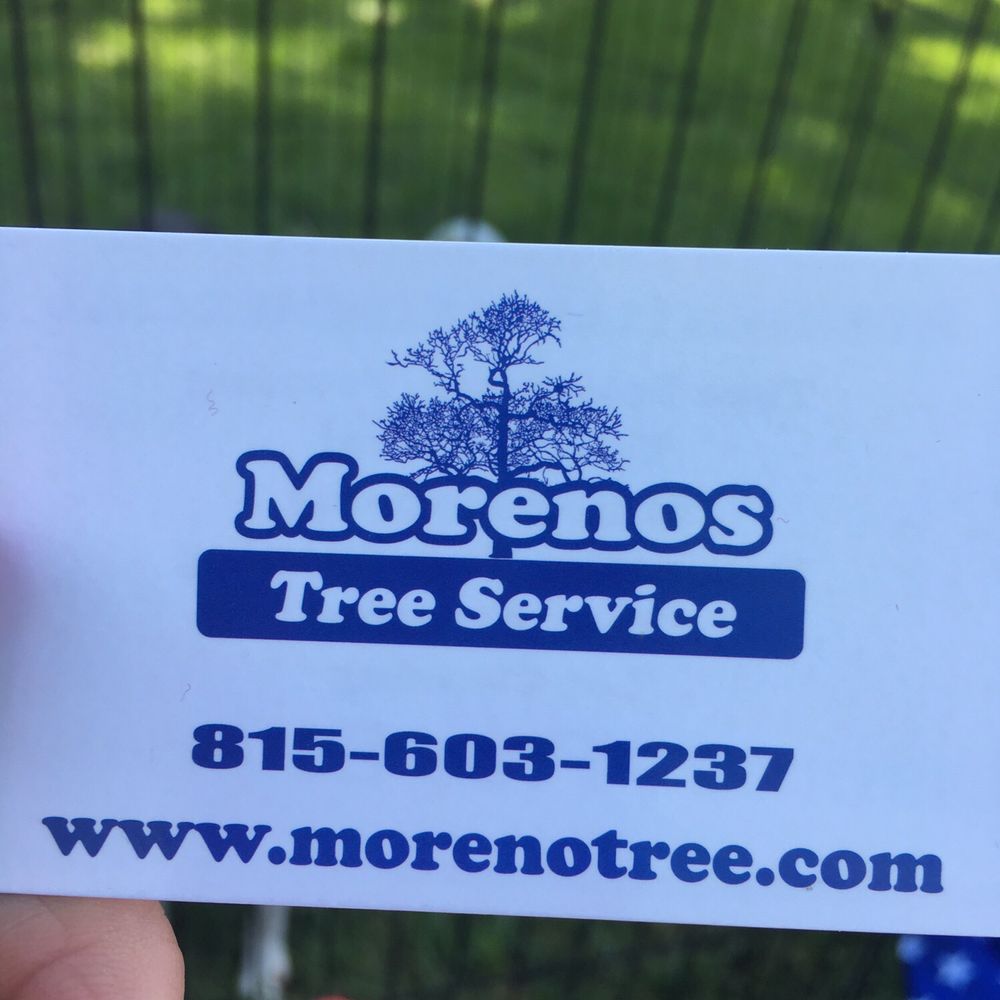 Morenos Tree Service - a hand holding a business card - Tree Services Near Me - Plainfield, Illinois Morenos Tree Service - a hand holding a business card - Tree Services Near Me - Plainfield, Illinois