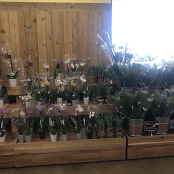 Trader Joe's - Flowers - Grocery Near Me - San Diego, California Trader Joe's - Flowers - Grocery Near Me - San Diego, California