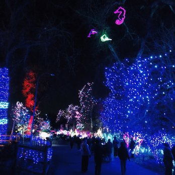 Denver Zoo Lights - Festivals Near Me - Denver, Colorado