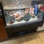Photo of Chocolats Favoris