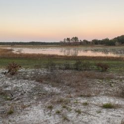 Mike Roess Gold Head Branch State Park - Big Johnson Lake