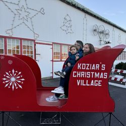 Koziar's Christmas Village