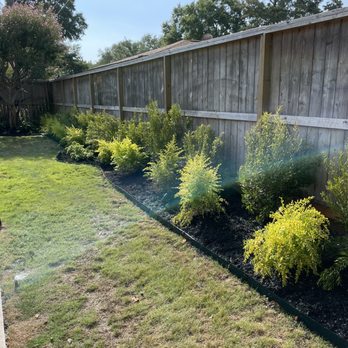 D&G Landscaping & Design - Yard - Landscaping Near Me - Houston, Texas D&G Landscaping & Design - Yard - Landscaping Near Me - Houston, Texas