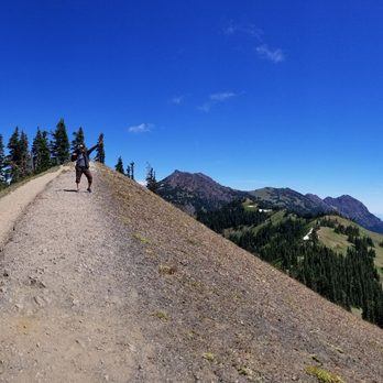 Evergreen Escapes - Tours Near Me - Seattle, Washington Evergreen Escapes - Tours Near Me - Seattle, Washington