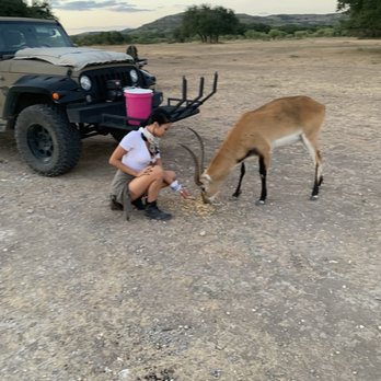 Ox Ranch - Feeding sweet Wilber. I can't wait to come back and see him again. - Wildlife Hunting Ranges Near Me - Uvalde, Texas Ox Ranch - Feeding sweet Wilber. I can't wait to come back and see him again. - Wildlife Hunting Ranges Near Me - Uvalde, Texas