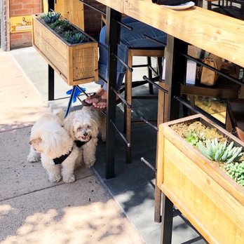 Brussels Bistro - Belgian Near Me - Laguna Beach, California