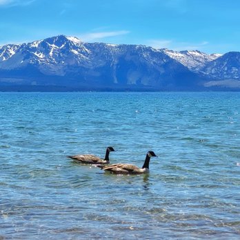 Lam Watah Trail to NV Beach - Lake Tahoe - Hiking Near Me Lam Watah Trail to NV Beach - Lake Tahoe - Hiking Near Me