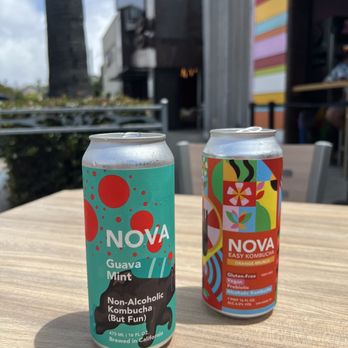 Nova Easy Kombucha - Guava mint - Kombucha Near Me - San Diego, California Nova Easy Kombucha - Guava mint - Kombucha Near Me - San Diego, California
