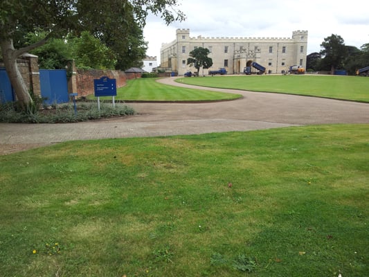 Syon Park by null