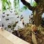 Photo of Mote park