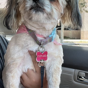 Classic Cuts Dog Grooming - Pet Groomers Near Me - Temple City, California Classic Cuts Dog Grooming - Pet Groomers Near Me - Temple City, California