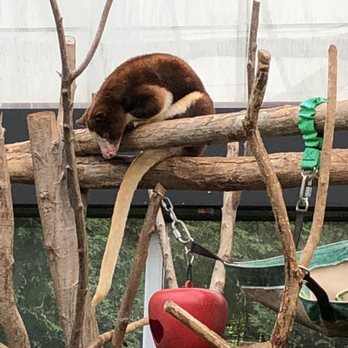 Toronto Zoo - Zoos Near Me - Toronto, Ontario