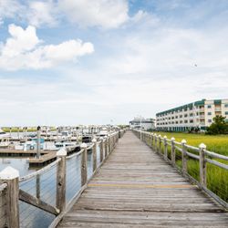 Botany Bay Ecotours - Boardwalk from the Marina's Ship Store to our dock slip D 2. Enjoy the view of the marsh as you stroll the boardwalk.