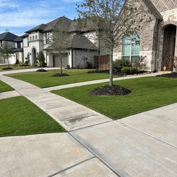 Bermuda Dude - Lawn Painted during the winter. - Lawn Services Near Me - Rosharon, Texas Bermuda Dude - Lawn Painted during the winter. - Lawn Services Near Me - Rosharon, Texas