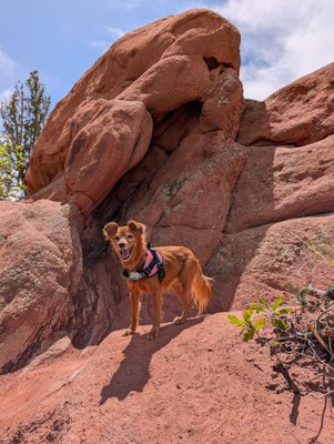 Red Rock Canyon by null