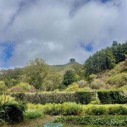 Green Gulch Farm Zen Center