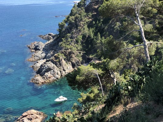 Jardíns de Cap Roig by null