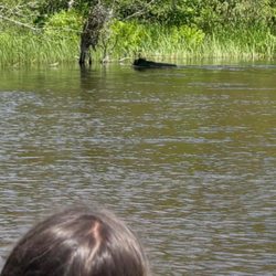 AuTrain River Canoe & Kayak Rental