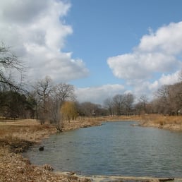 Wetlands  11/03