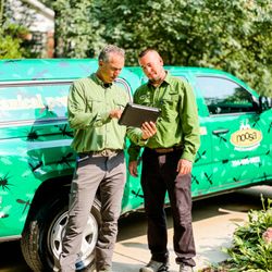 Noosa Pest Management