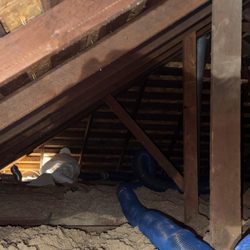 Rat Issues - Cleaning of attic with large vacuum, removing debris and rodent droppings for a safer and cleaner space!