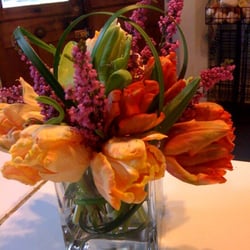 Parrot Tulips