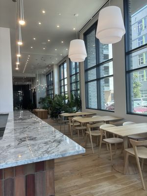 Rose & Thorn by null