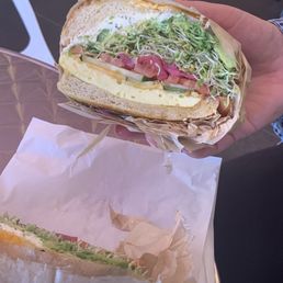 Vegfast Vegfast