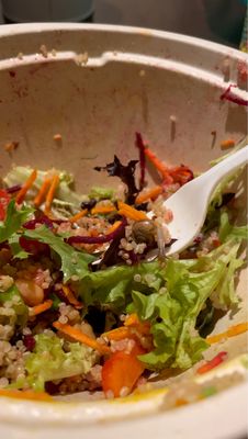 The Daily Beet by null