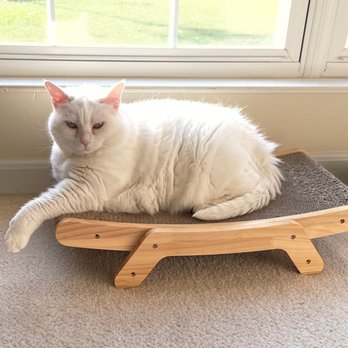 Fetch Pet Care - Pet Sitting Near Me Fetch Pet Care - Pet Sitting Near Me