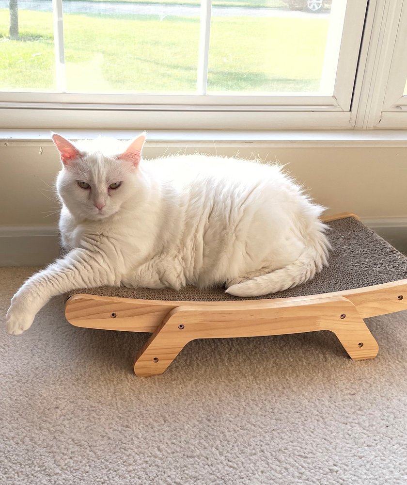 FETCH PET CARE Updated September 2024 10 Photos Loveland, Ohio