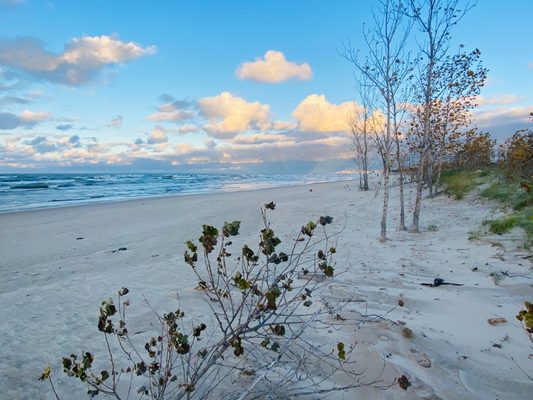 Indiana Dunes National Park by null