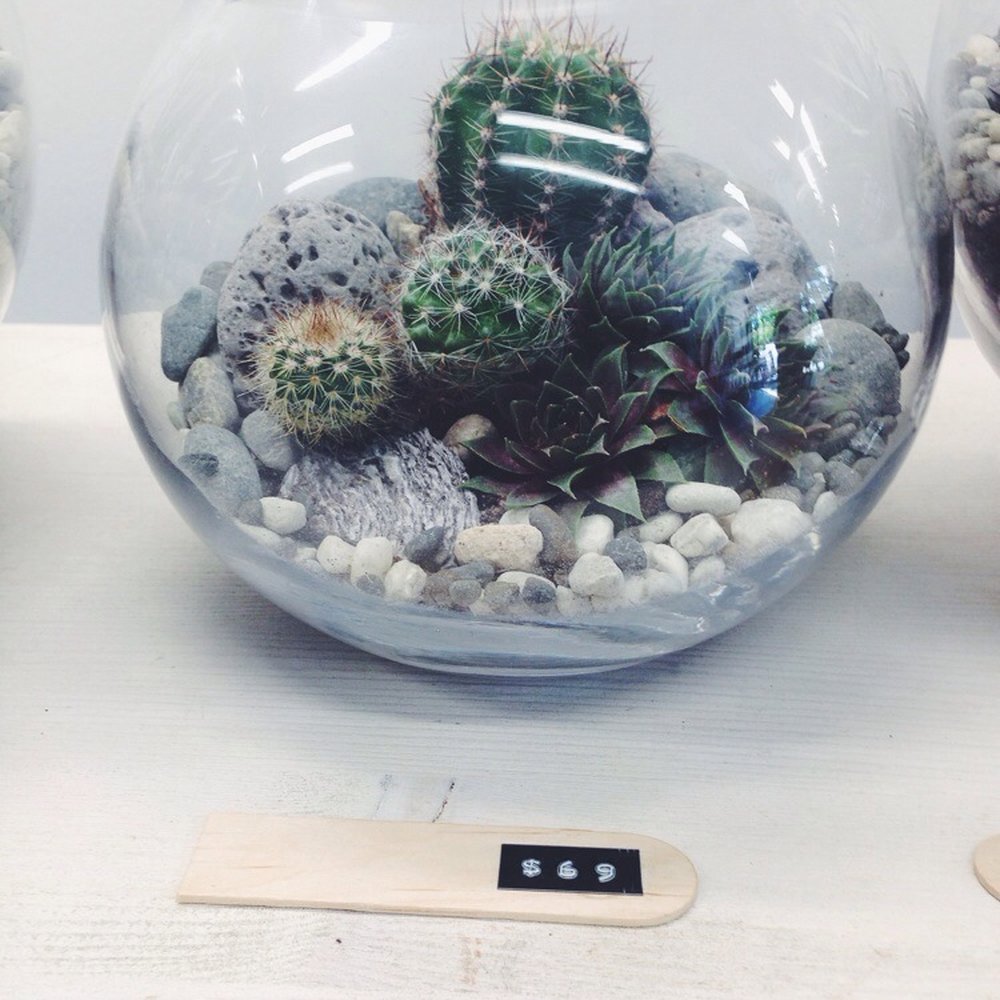 Bioattic - Such a beautiful gift! - Gift Shops Near Me - Ponsonby, AUK