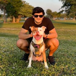The Woof Training