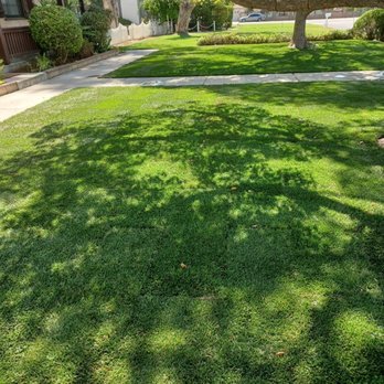 Ruiz Landscape - Finished product. Looks perfect! - Landscaping Near Me - Hemet, California Ruiz Landscape - Finished product. Looks perfect! - Landscaping Near Me - Hemet, California