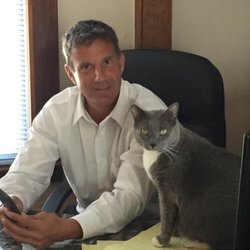 Law Office of Albert Carocci - Our rescue office cat Smokey. We are pet friendly.