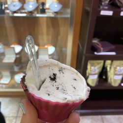 Artisan Gelato & Espresso - Triple chocolate on the bottom and cookies and cream on top!